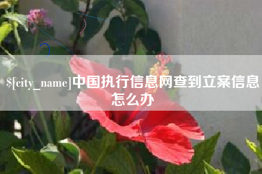 桂平中国执行信息网查到立案信息怎么办