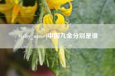 桂平中国九金分别是谁
