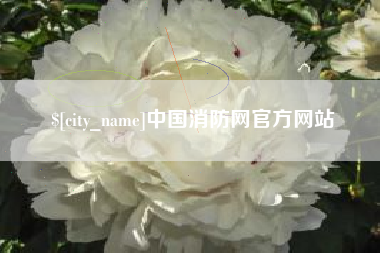 桂平中国消防网官方网站