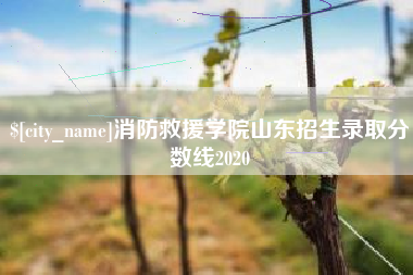 桂平消防救援学院山东招生录取分数线2020