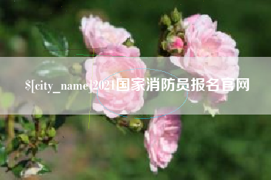 桂平2021国家消防员报名官网