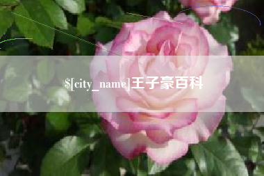 桂平王子豪百科