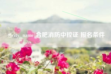 桂平合肥消防中控证 报名条件