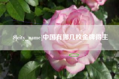 桂平中国有哪几枚金牌得主