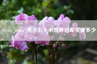 桂平男子五千米世界冠军奖金多少