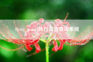 桂平执行公告查询系统