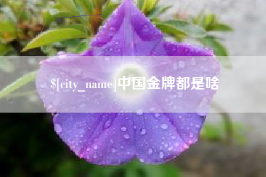 桂平中国金牌都是啥