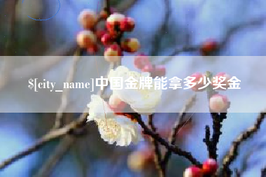桂平中国金牌能拿多少奖金