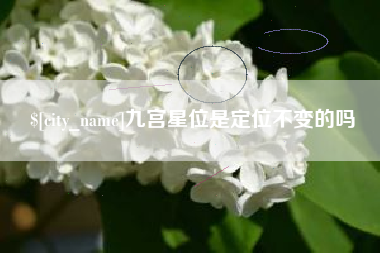 桂平九宫星位是定位不变的吗