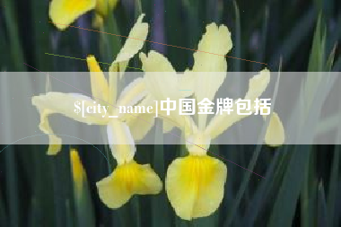 桂平中国金牌包括