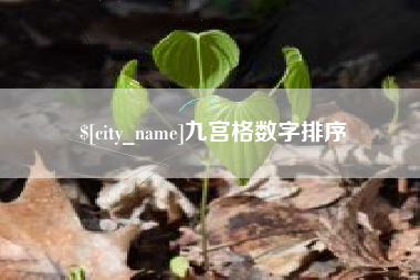 桂平九宫格数字排序