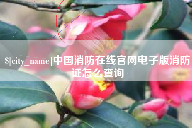 桂平中国消防在线官网电子版消防证怎么查询