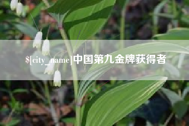 桂平中国第九金牌获得者