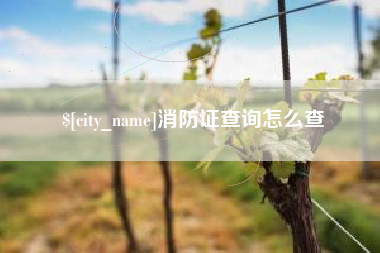 桂平消防证查询怎么查