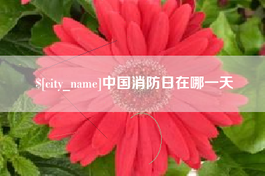 桂平中国消防日在哪一天