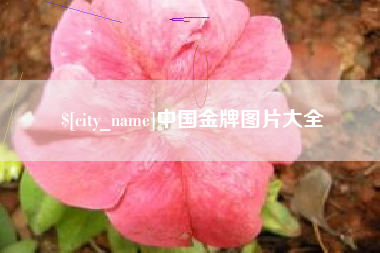 桂平中国金牌图片大全