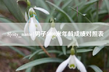 桂平男子5000米年龄成绩对照表