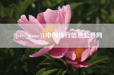 桂平1.中国执行信息公开网