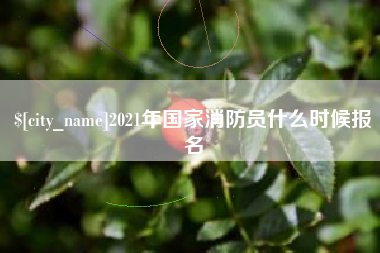 桂平2021年国家消防员什么时候报名