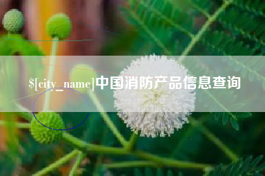 桂平中国消防产品信息查询