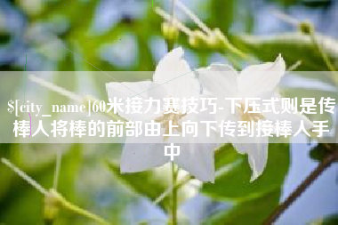 桂平60米接力赛技巧-下压式则是传棒人将棒的前部由上向下传到接棒人手中