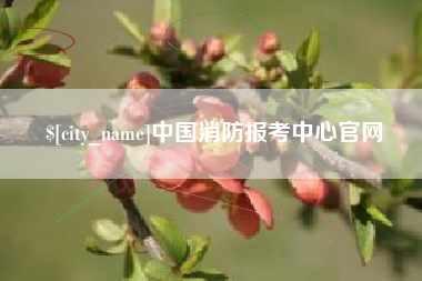 桂平中国消防报考中心官网