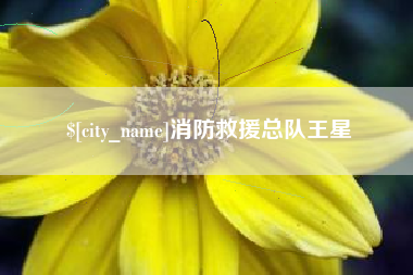 桂平消防救援总队王星