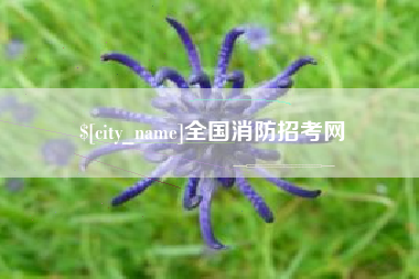 桂平全国消防招考网