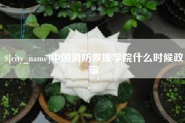 桂平中国消防救援学院什么时候政审