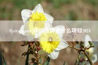 桂平中国金牌是什么项目2024