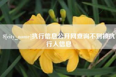 桂平执行信息公开网查询不到被执行人信息