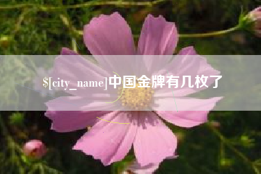 桂平中国金牌有几枚了