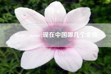 桂平现在中国哪几个金牌