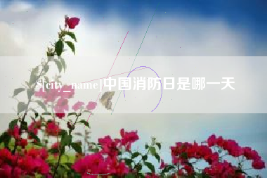 桂平中国消防日是哪一天