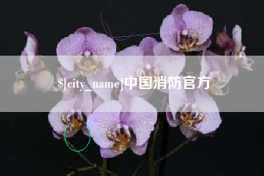 桂平中国消防官方