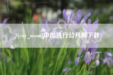 桂平中国执行公开网下载