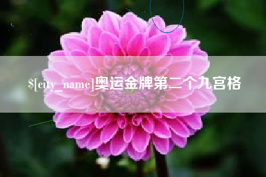 桂平奥运金牌第二个九宫格