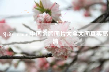 桂平中国金牌图片大全大图真实高清
