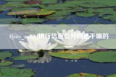 桂平执行信息公开网是干嘛的
