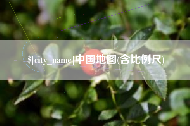 桂平中国地图(含比例尺)