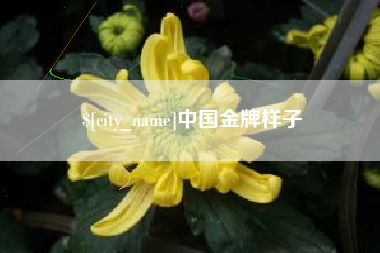 桂平中国金牌样子
