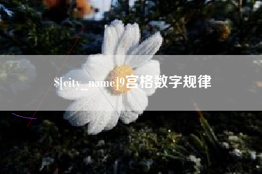 桂平9宫格数字规律