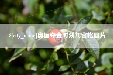 桂平奥运夺金时刻九宫格图片