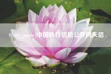桂平中国执行信息公开网失信