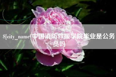 桂平中国消防救援学院毕业是公务员吗