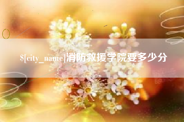 桂平消防救援学院要多少分