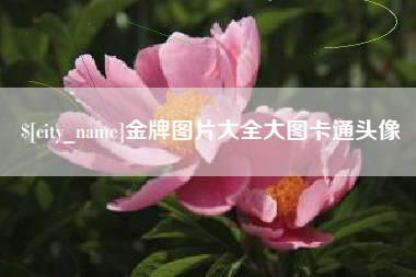 桂平金牌图片大全大图卡通头像