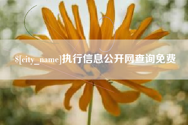 桂平执行信息公开网查询免费