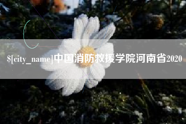 桂平中国消防救援学院河南省2020